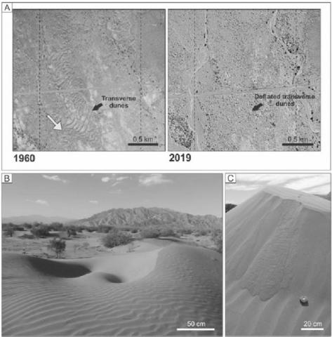 Pub-Limarino-Fluvial-aeolian interaction deposits