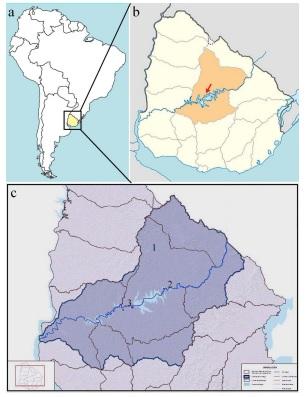Pub-Nami-Hallazgos paleoindios en el
