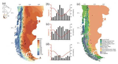 Pub-Ozan-Disentangling the Medieval Climatic