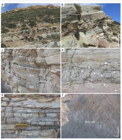 Pub-Kietzmann-Palaeoenvironmental significance of beds