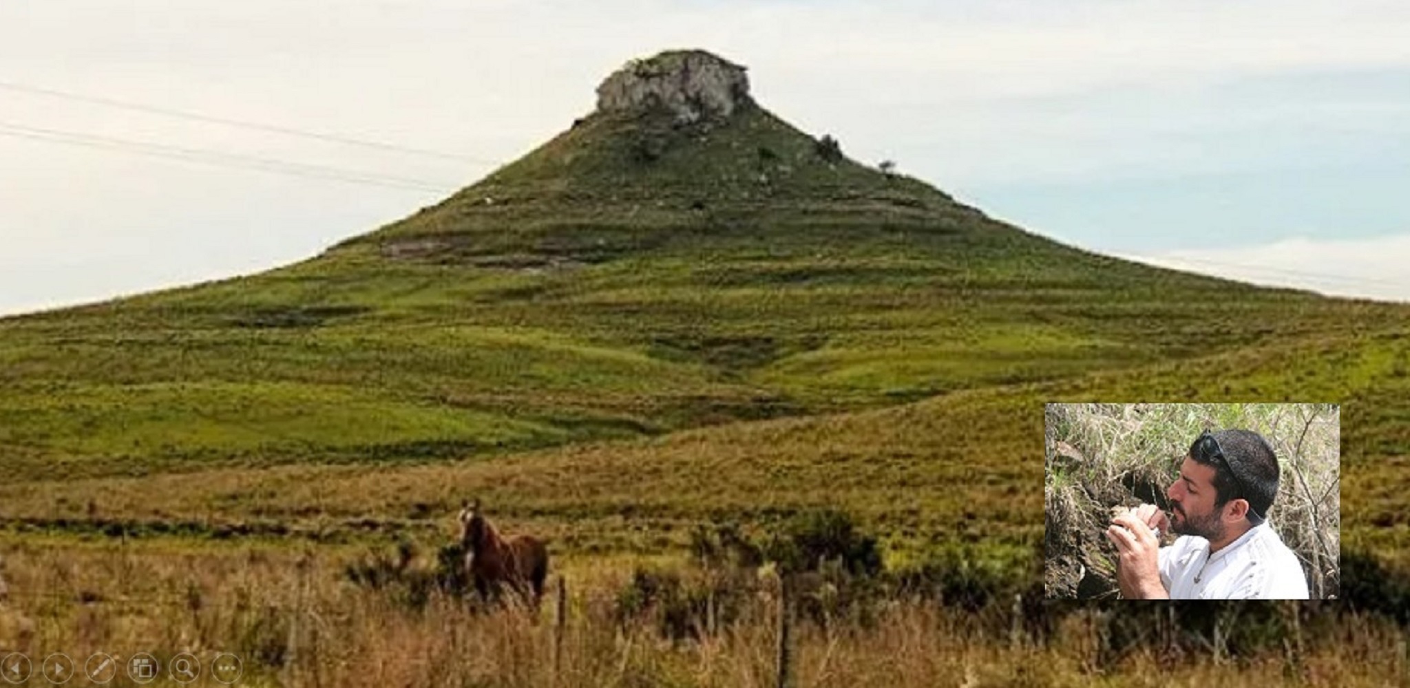 Paisaje con oriolo